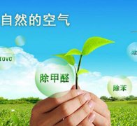 除甲醛對(duì)于住房安全和環(huán)境保護(hù)的作用有什么？