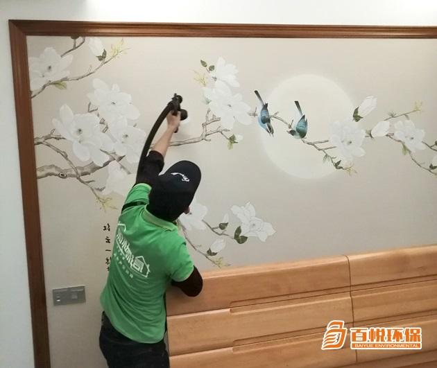 辦公室專業(yè)除甲醛公司百悅環(huán)保室內除甲醛價格 辦公室專業(yè)除甲醛公司百悅環(huán)保室內除甲醛價格