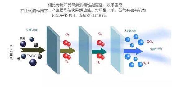 光觸媒、生物酶、空氣凈化器，哪家除甲醛公司效果好？