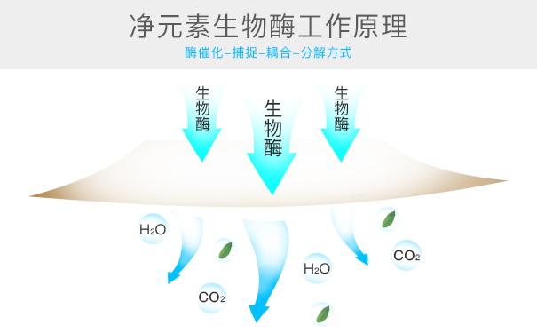 光觸媒、生物酶、空氣凈化器，哪家除甲醛公司效果好？
