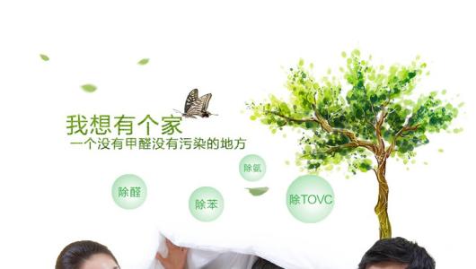 效果好、專(zhuān)業(yè)的光觸媒除甲醛產(chǎn)品有那些？